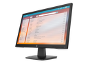 HP P22v G4 Monitor