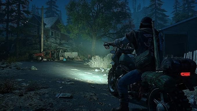 CD PS4 Days Gone-5030087