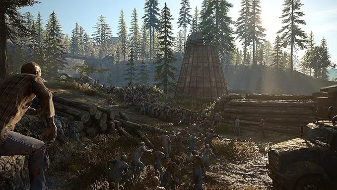 CD PS4 Days Gone-5030087