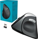 Rapoo MOUSE  VERTICAL MV20 SILENT BLACK 