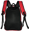ICONZ CHICAGO BACKPACK 15.6 RED 4046.