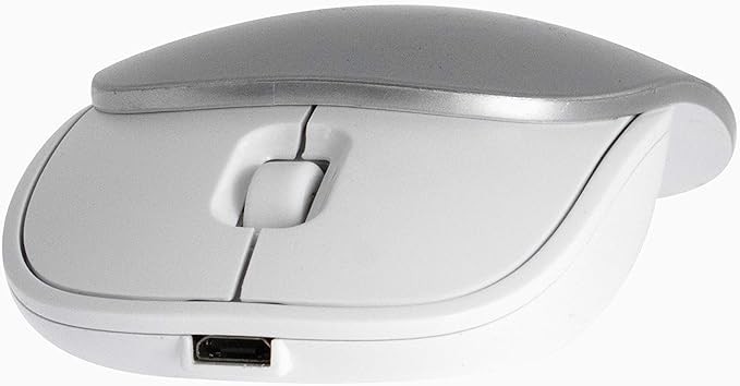 2B Wireless 2.4G Mouse With Movable Cover White*Silver