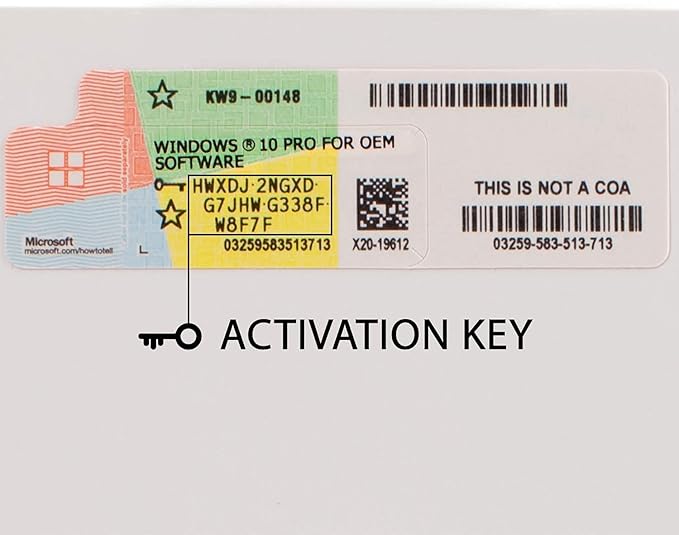 Microsoft OEM Microsoft Windows 10 64-bit - Card