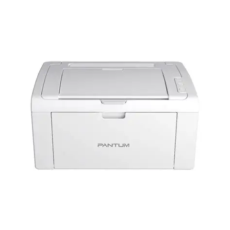 Pantum P2509W Single Function Printer-