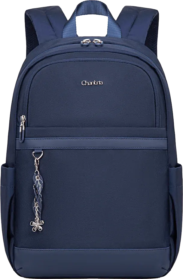 Chantria Laptop Backpack 13-Inch Waterproof Backpack – Stylish Everyday Laptop & Travel Bag – Pale Mauve CB-00648