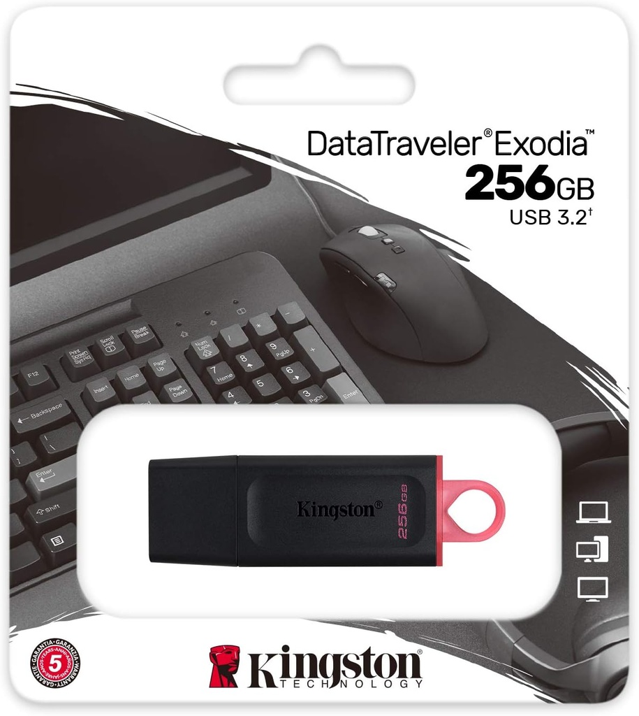 Kingston Data Traveler Exodia 256GB USB 3.2 Flash Drive DTX/256GB