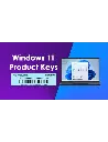 Microsoft Windows 11 Professional x64 - Card
